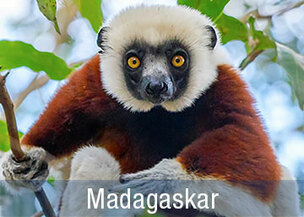 Madagaskar Rundreisen mit deutscher Reiseleitung