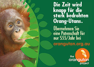 Save Orang Utans with AOP Australian Orangutan Project