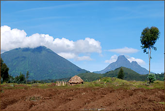 Blick auf die Virunga-Vulkane