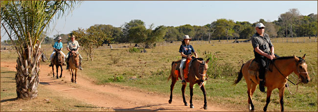 Reiten im Nationalpark Pantanal in Brasilien