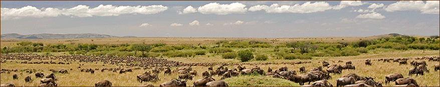 FLy In Safari in die Masai Mara