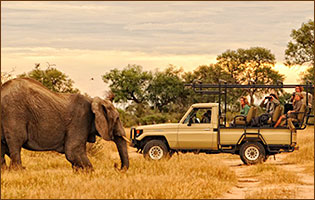 Jeep Safari in Kanga