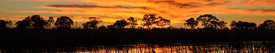 sunset cruise im Okavangodelta