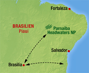 Tiere beobachten in Brasilien