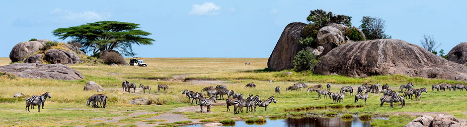 Nilpferd in der Masai Mara auf unserer Kenia- und Tansania-Rundreise