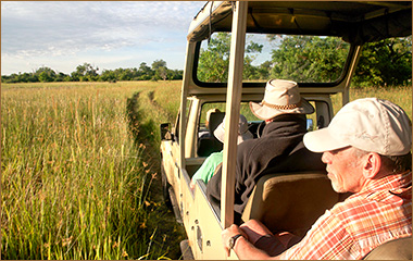 mit einem offenen Jeep auf Safari in den Nationalparks von Botswana