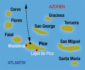 Wale beobachten in Europa auf der Azoren Insel Pico