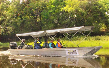 einen Jaguar beobachten kann man am besten auf Bootstouren, die Großkatze wird jedoch auch manchmal von der Transpantaneira aus gesehen bei einer Bootstour auf dem Rio Cuiaba ist ein Fernglas sehr nützlich
